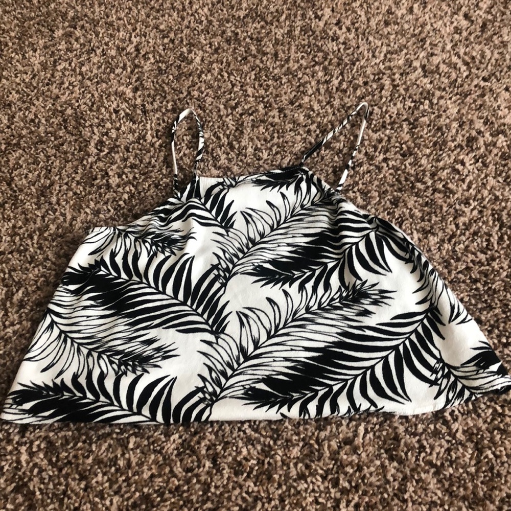 Black and white palm tree top